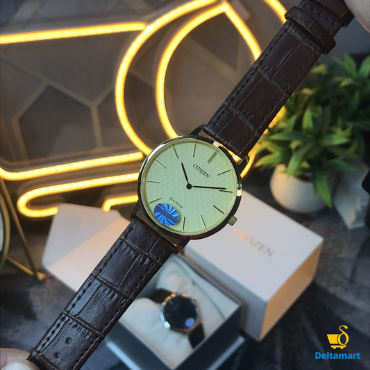 Citizen Eco Drive